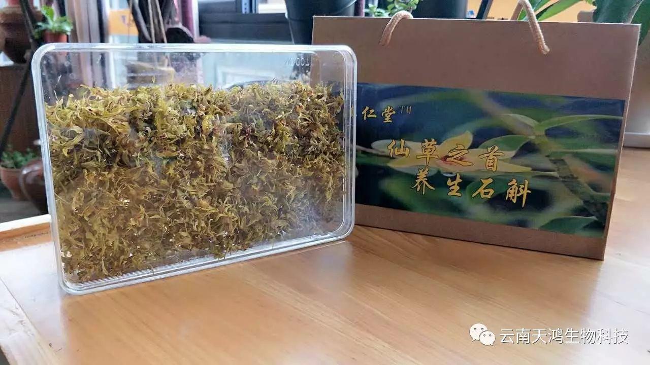 仙草之首 虫草之上---石斛花