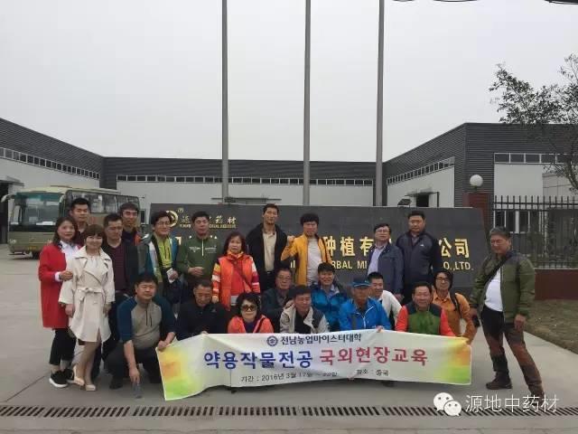 “一带一路”给中医药的发展带来了新的机遇及其应对策略