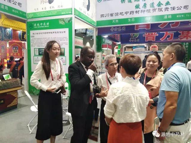 “一带一路”给中医药的发展带来了新的机遇及其应对策略