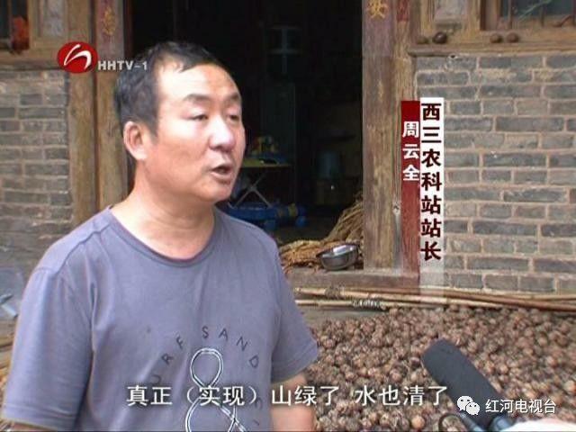 【砥砺奋进的五年】弥勒：荒坡地长出“金疙瘩”