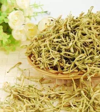 2017年最火中药种植项目大汇总