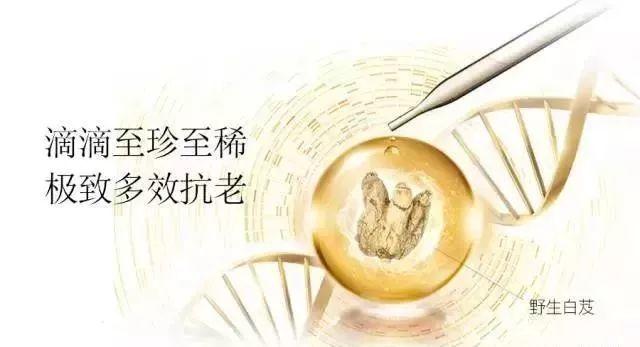 央视七套对“白芨面膜”的真实报道