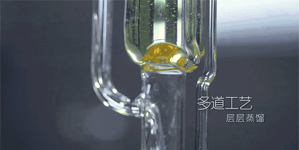 央视七套对“白芨面膜”的真实报道