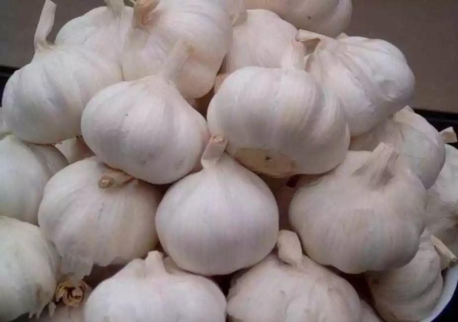 药 食 同 源