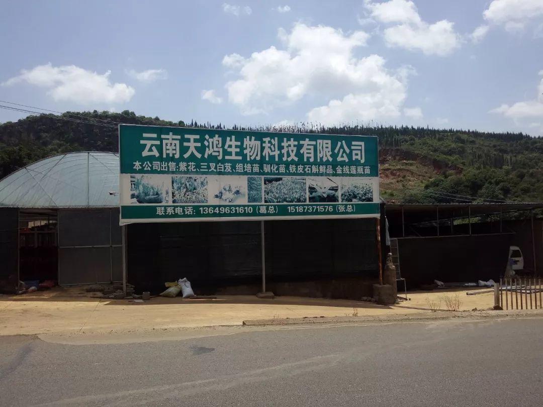 云南天鸿-----科技共享，共赢未来