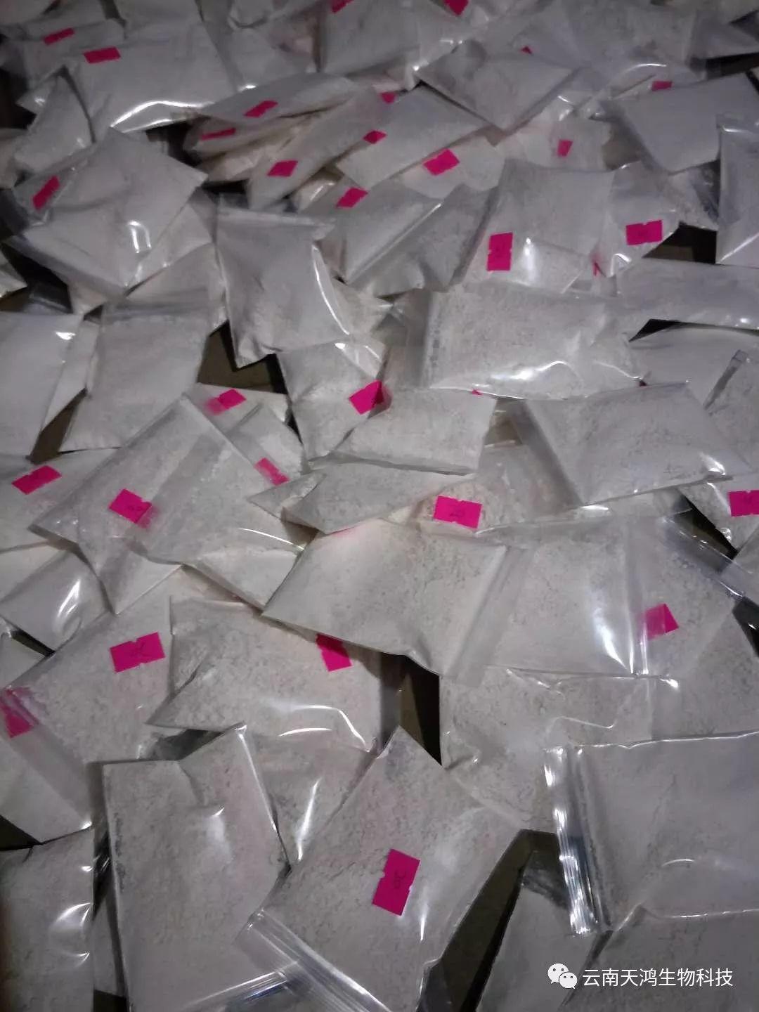 神奇除青苔除草剂实际效果图和所有问题说明